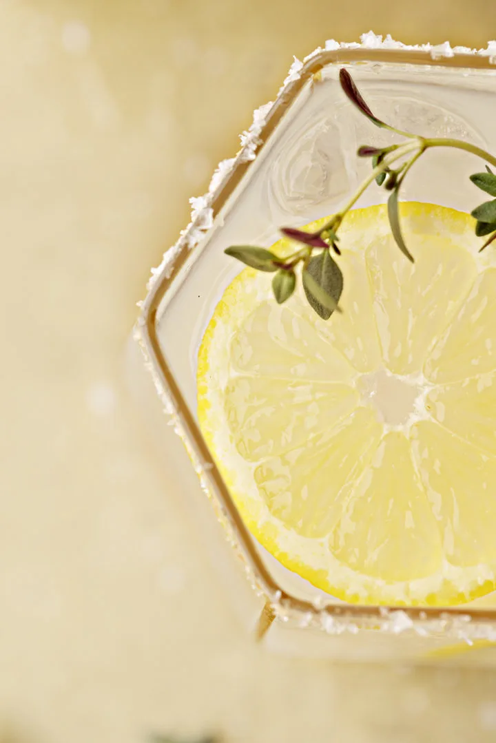 close up overhead photo of a lemon slice in a meyer lemon margarita 