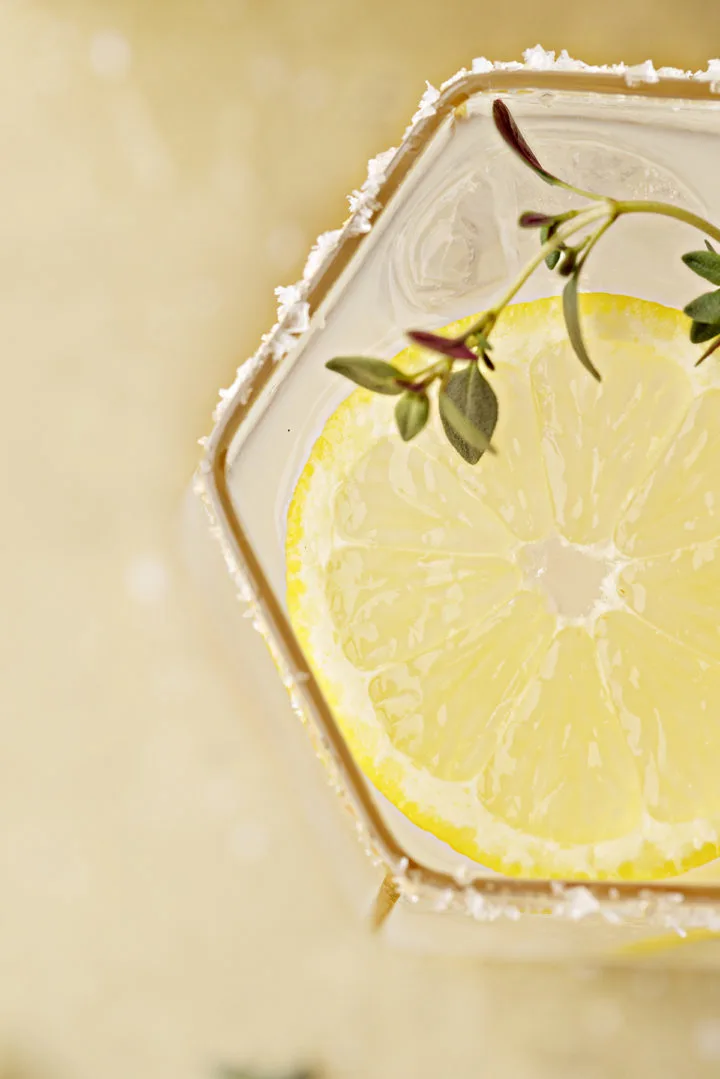 close up overhead photo of a lemon slice in a meyer lemon margarita