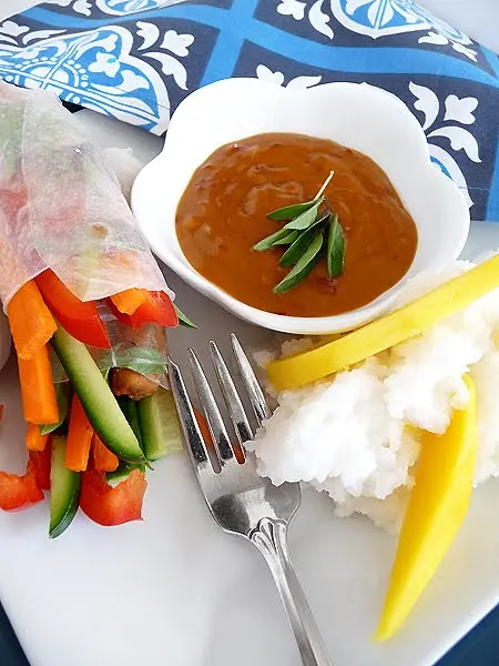 white plate with Vietnamese Spring Rolls and a bowl of peanut dipping sauce