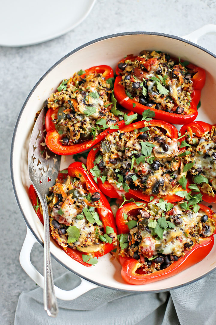 cooked quinoa stuffed peppers fresh out of the oven with melted cheese and cilantro garnish