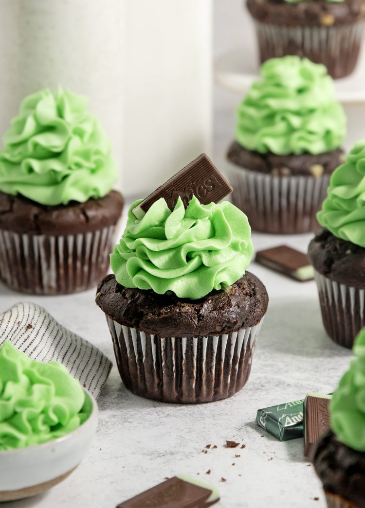 chocolate mint cupcakes on a light background