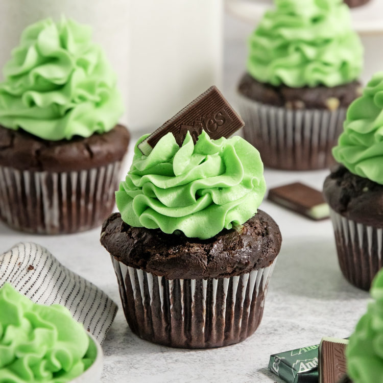 chocolate mint cupcakes on a light background