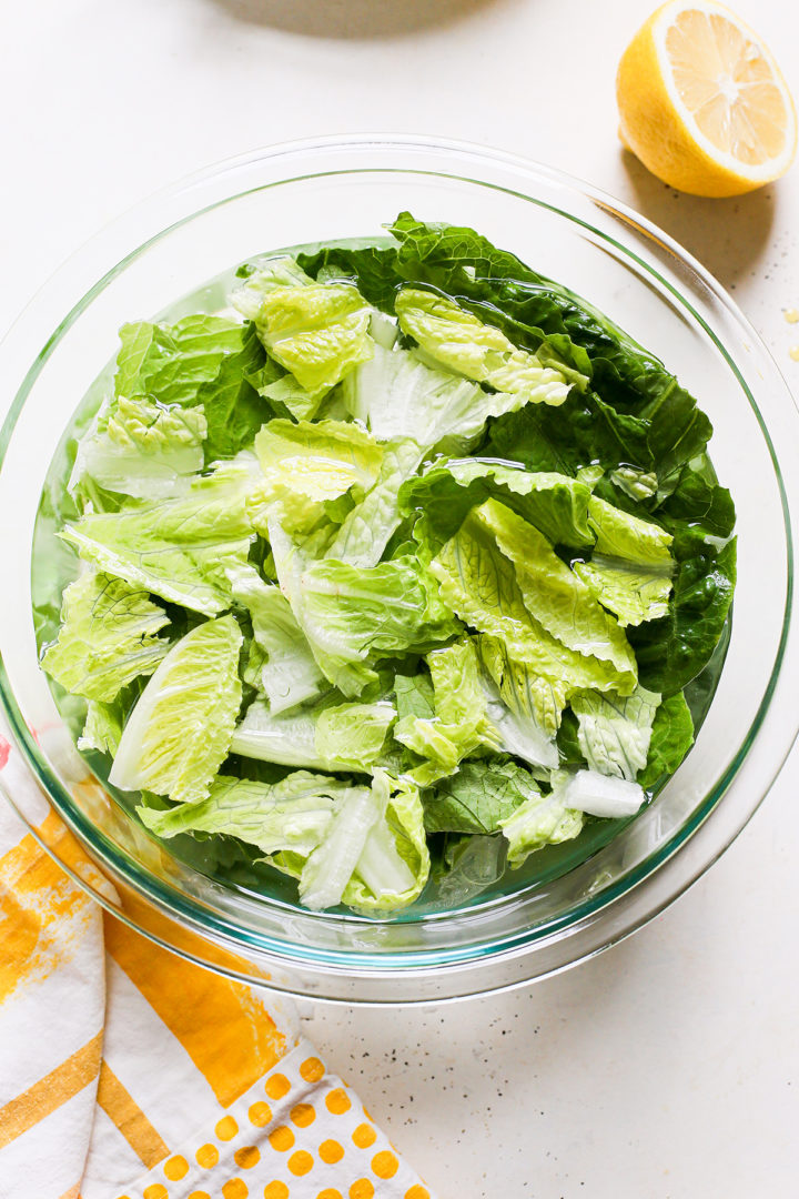 lettuce for caesar salad soaking in cold water