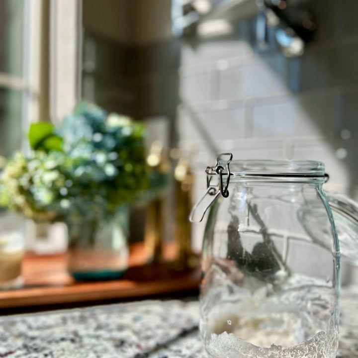 Reviving Dried Sourdough Starter