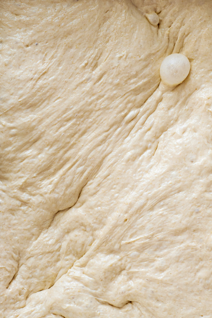Close-up of risen focaccia dough before baking, showing an uneven, bubbly surface stretched across a pan.